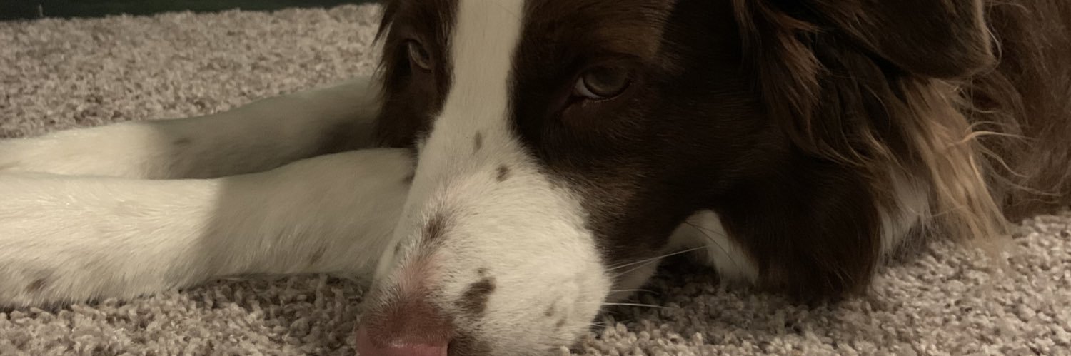 Garrett_Schauf's profile banner image