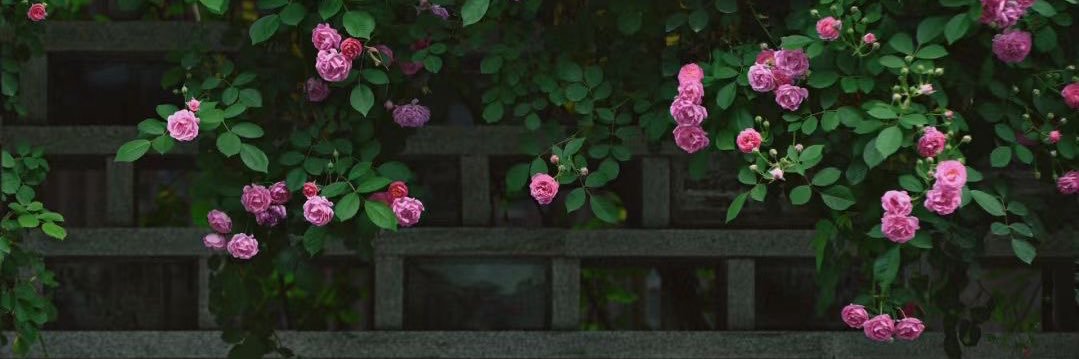 valarmogoles's profile banner image