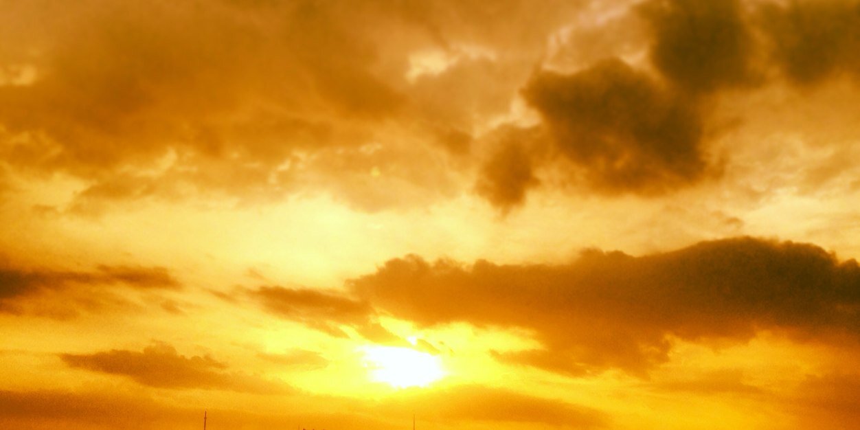 RosaDanielle's profile banner image