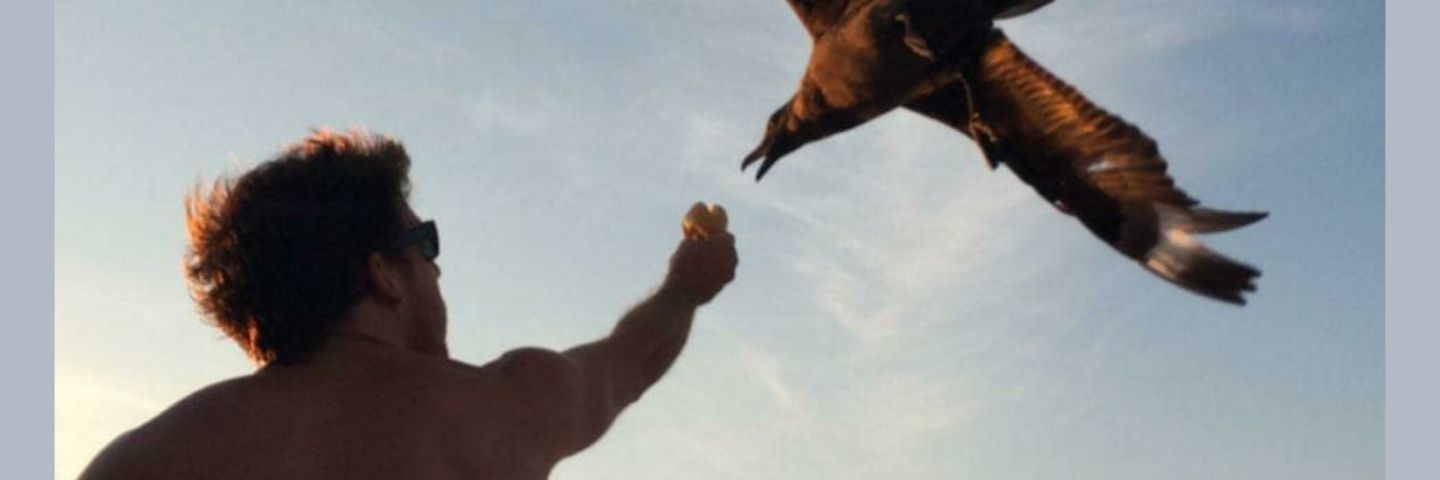 Rtorto's profile banner image