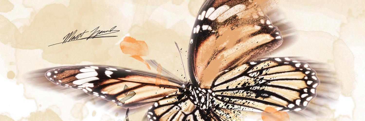 Jillleo93's profile banner image