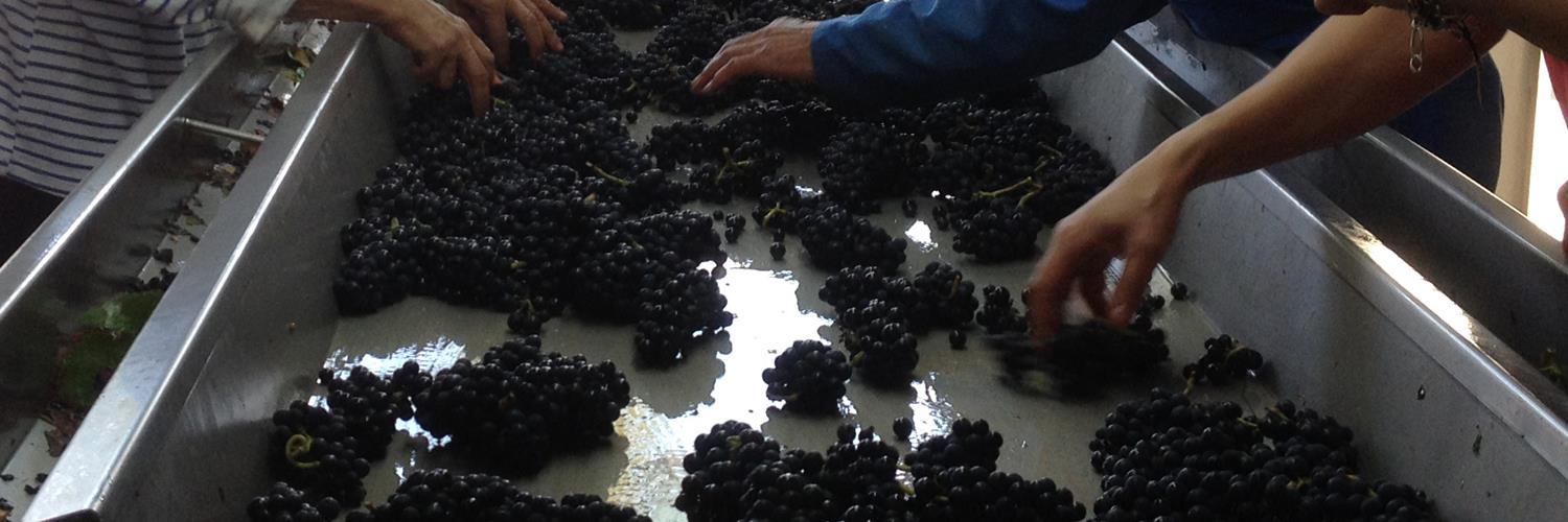 The Sorting Table banner