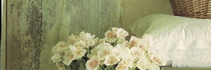 HualaMagali's profile banner image