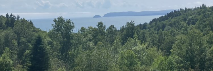 TheHouseLiberal banner