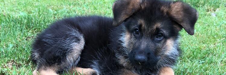 AustinJoyce_'s profile banner image