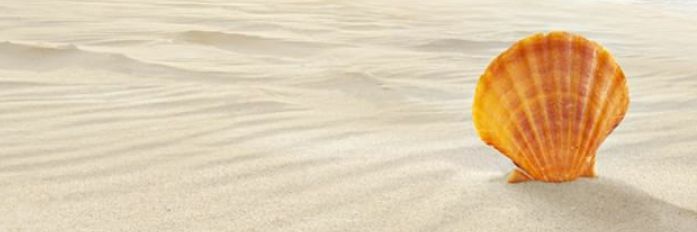 BeachBenal's profile banner image