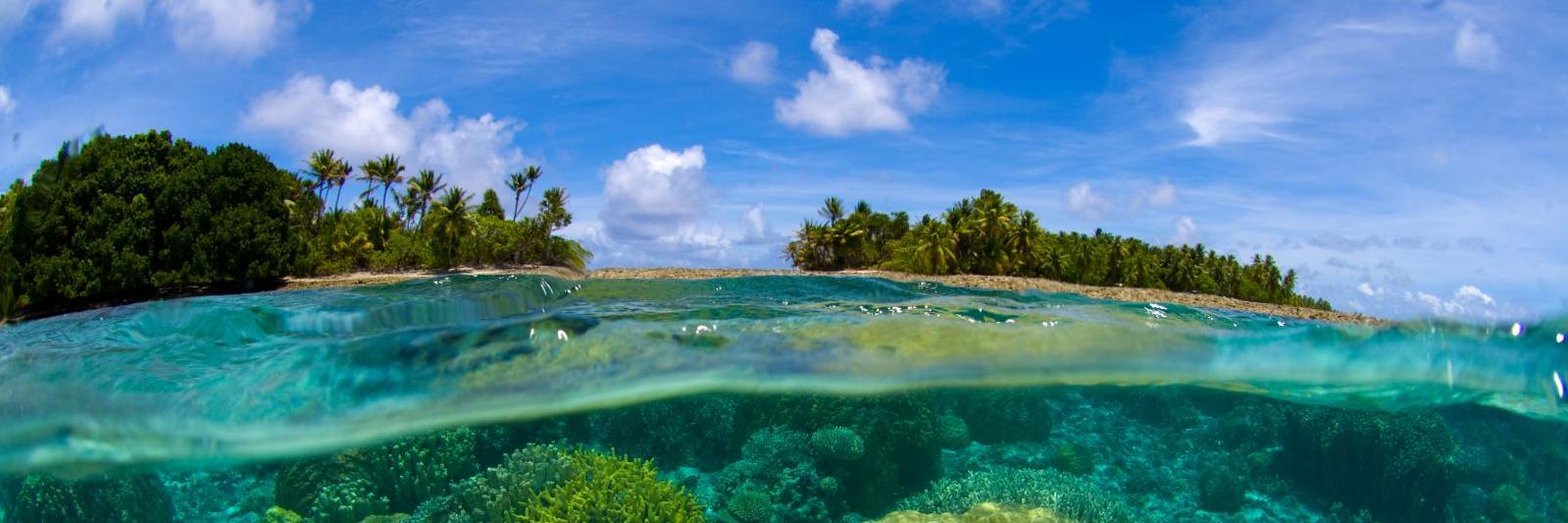 YoungReporters banner