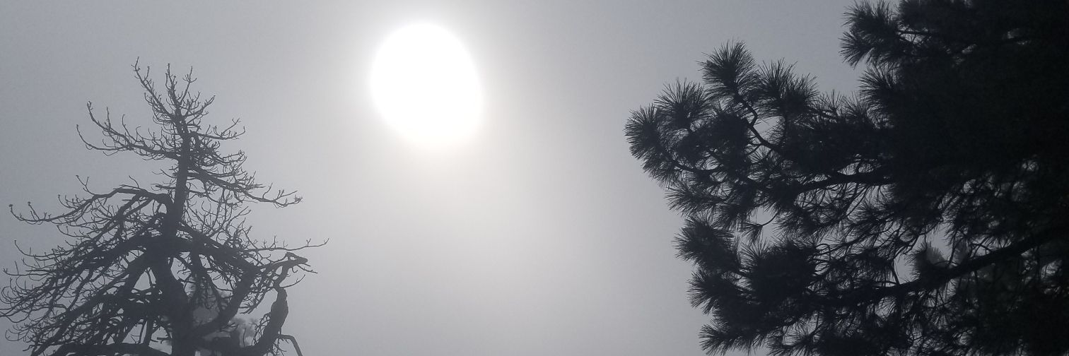 Beereal22's profile banner image