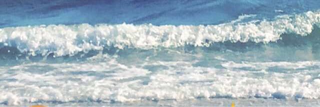 Ariel banner