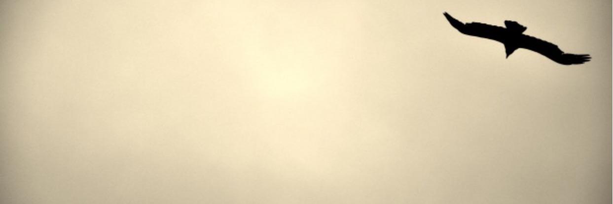 miss_Lavinya's profile banner image