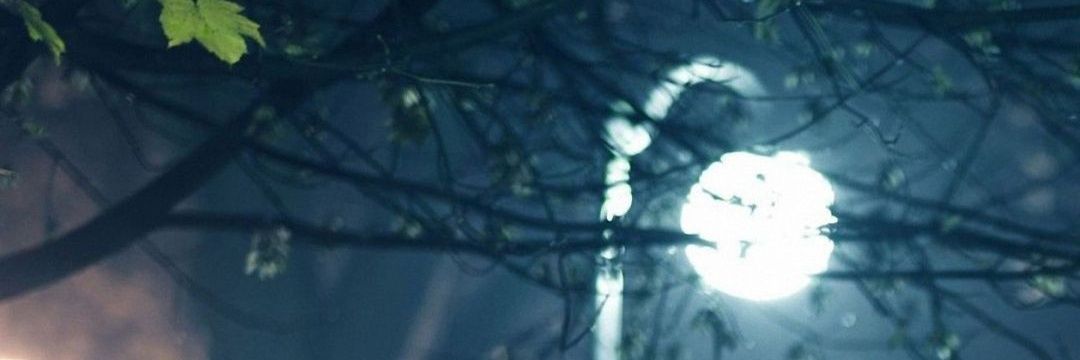 inkedandaltered's profile banner image