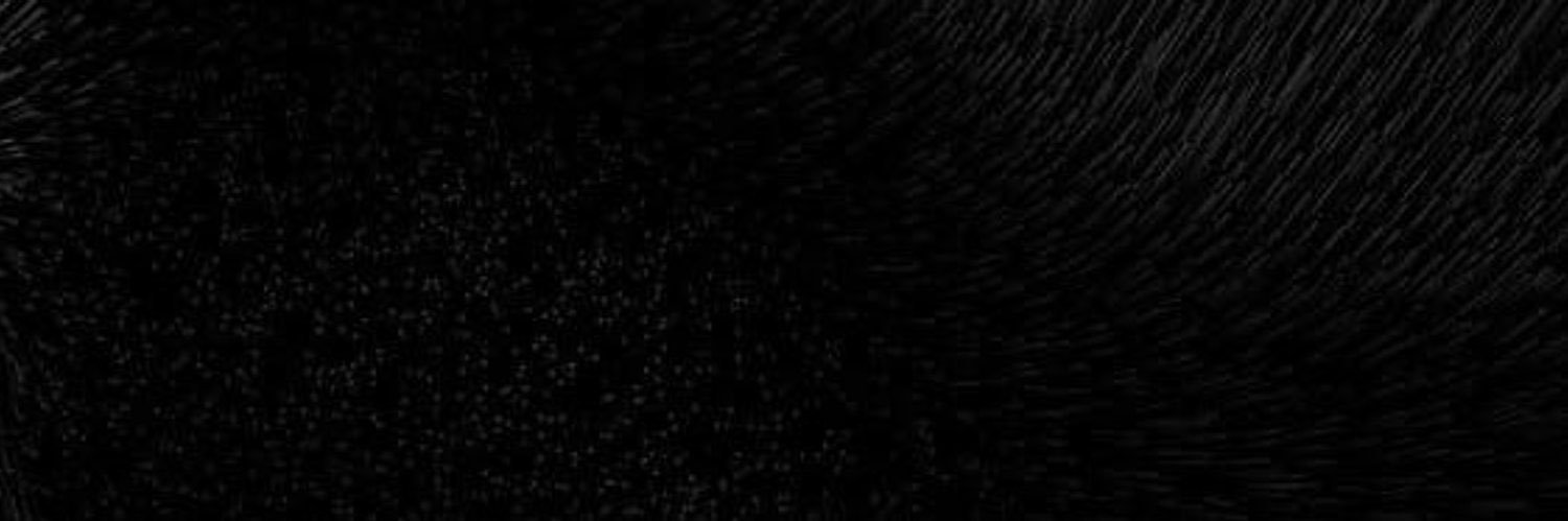 CryptoSherlock banner