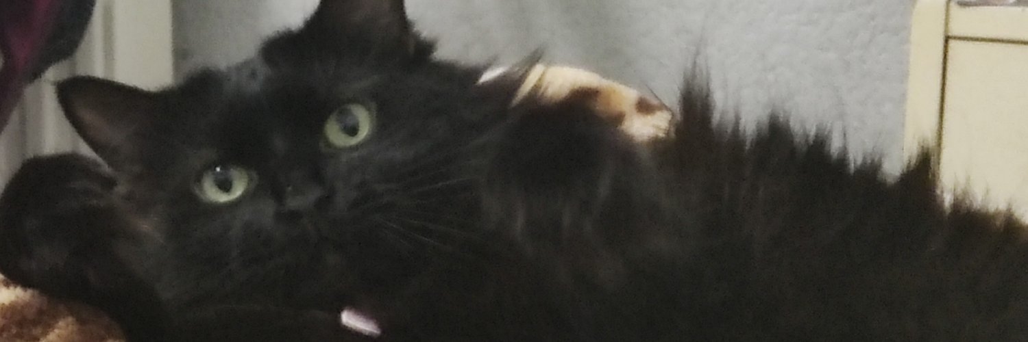 Griffhardt's profile banner image