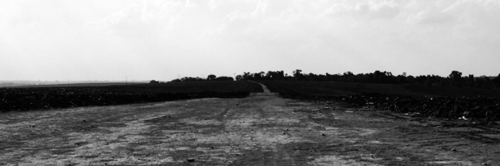 LÁ ELE banner
