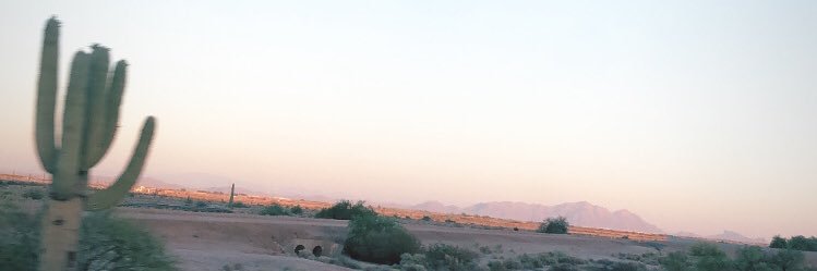 jjameelee's profile banner image