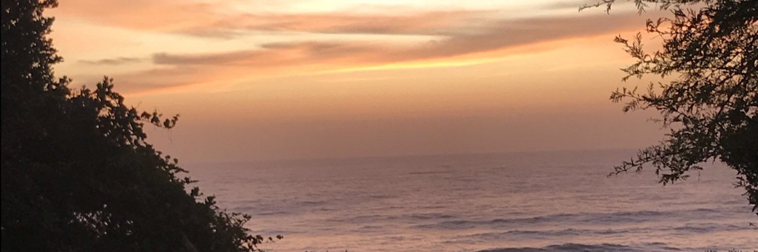 TruscottTerry's profile banner image