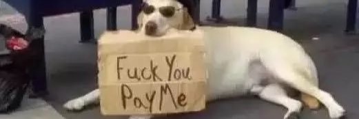 MikeyMemeMan's profile banner image