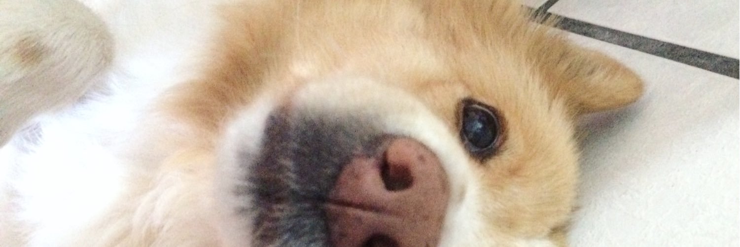 Jocyquiga's profile banner image