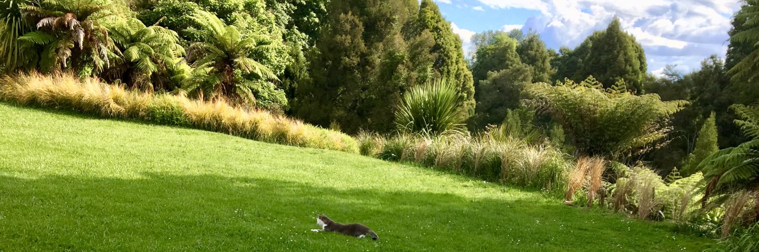 MsCommunicaTron banner