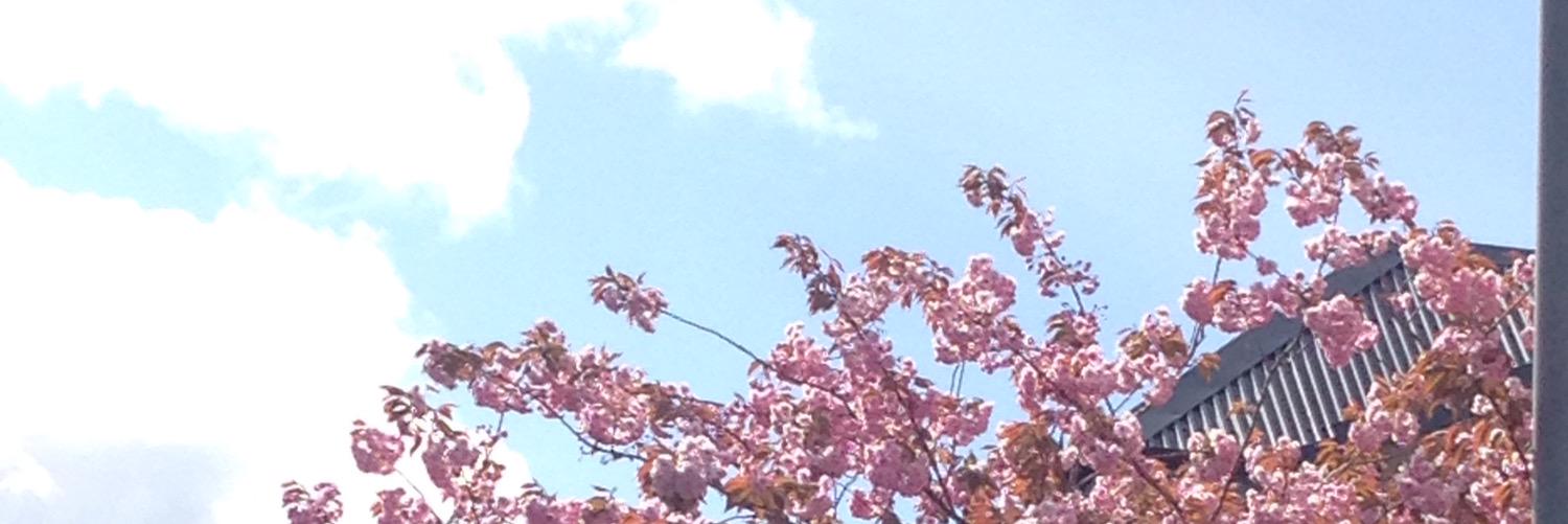 Mrs_R_Thomson's profile banner image