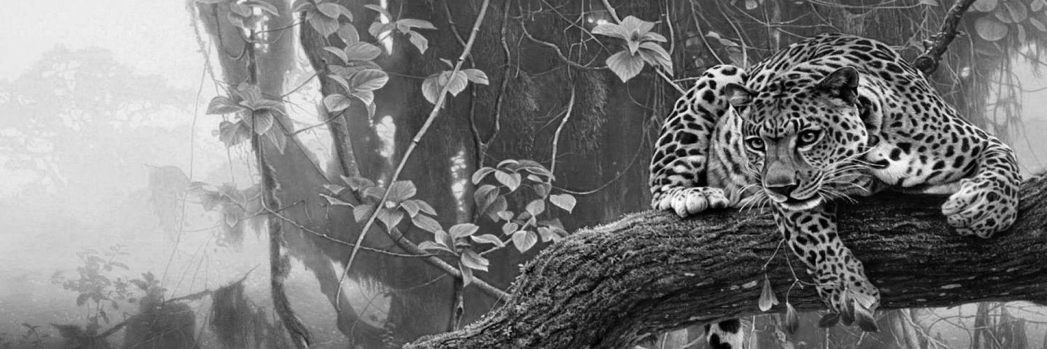 JAHONROIG's profile banner image