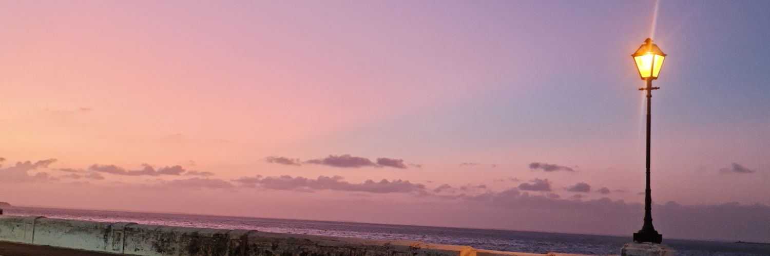 rose_bracho's profile banner image