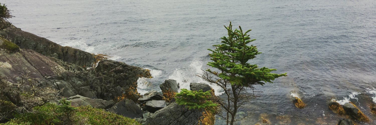 jburstall's profile banner image