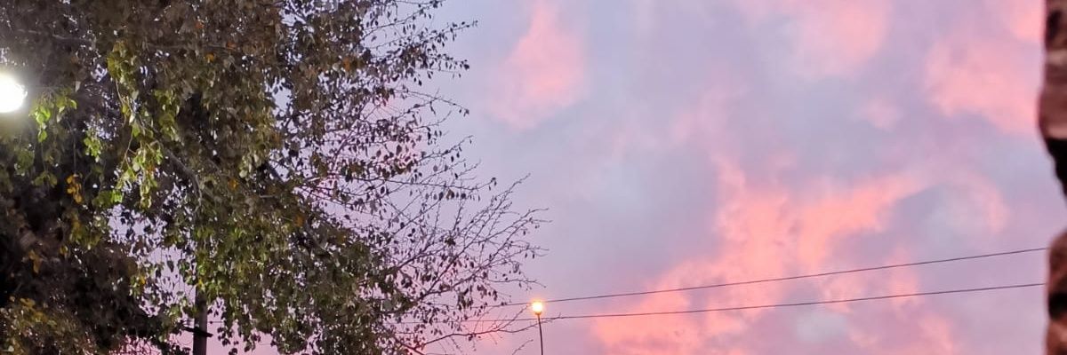 Roo_Perro's profile banner image