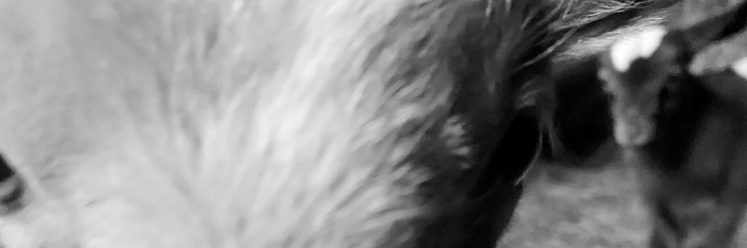 Andrewb9314's profile banner image