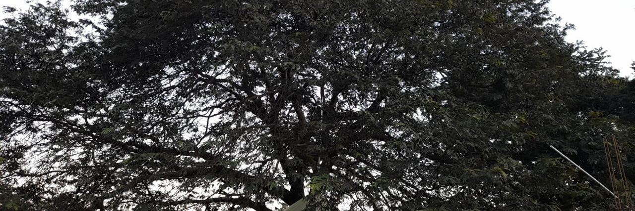 AHURTAD5's profile banner image