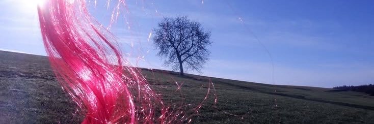 jagoankeciI's profile banner image