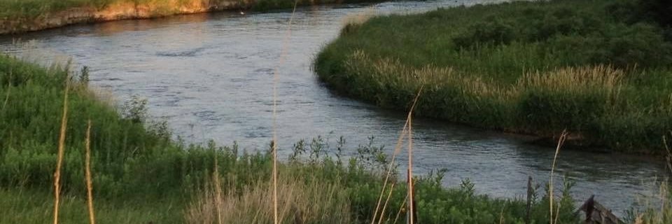 d banner