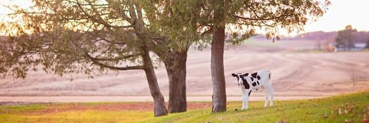 Jordanakoskamp's profile banner image
