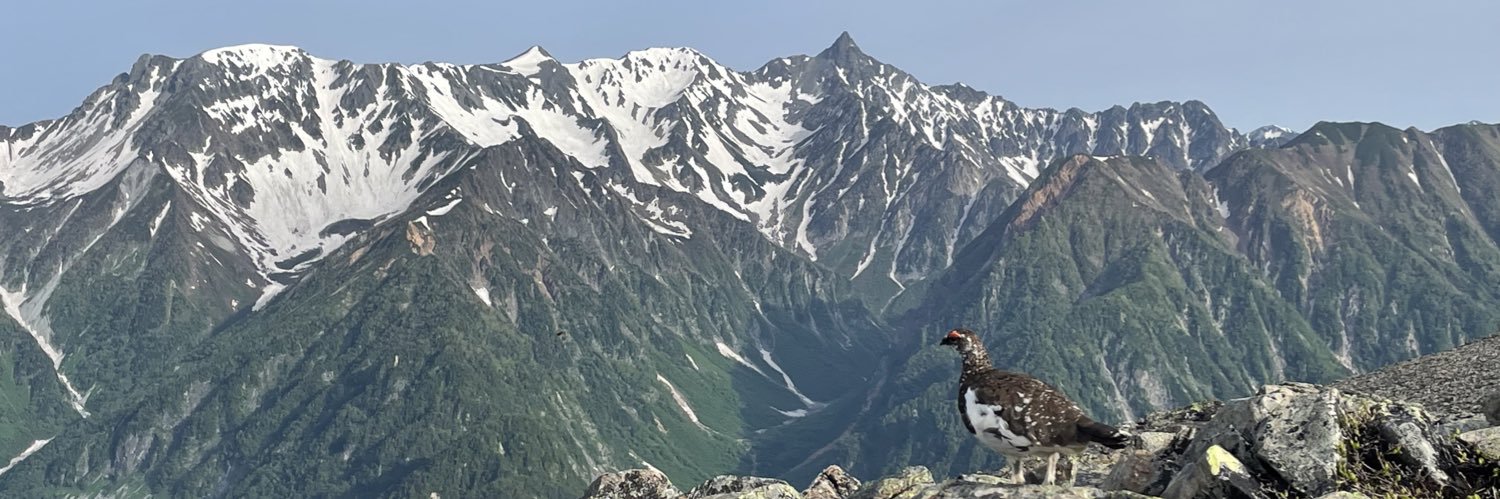 peta_y's profile banner image
