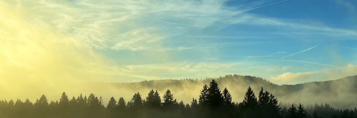 ymulase's profile banner image