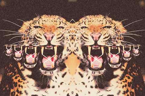 intantrisna's profile banner image