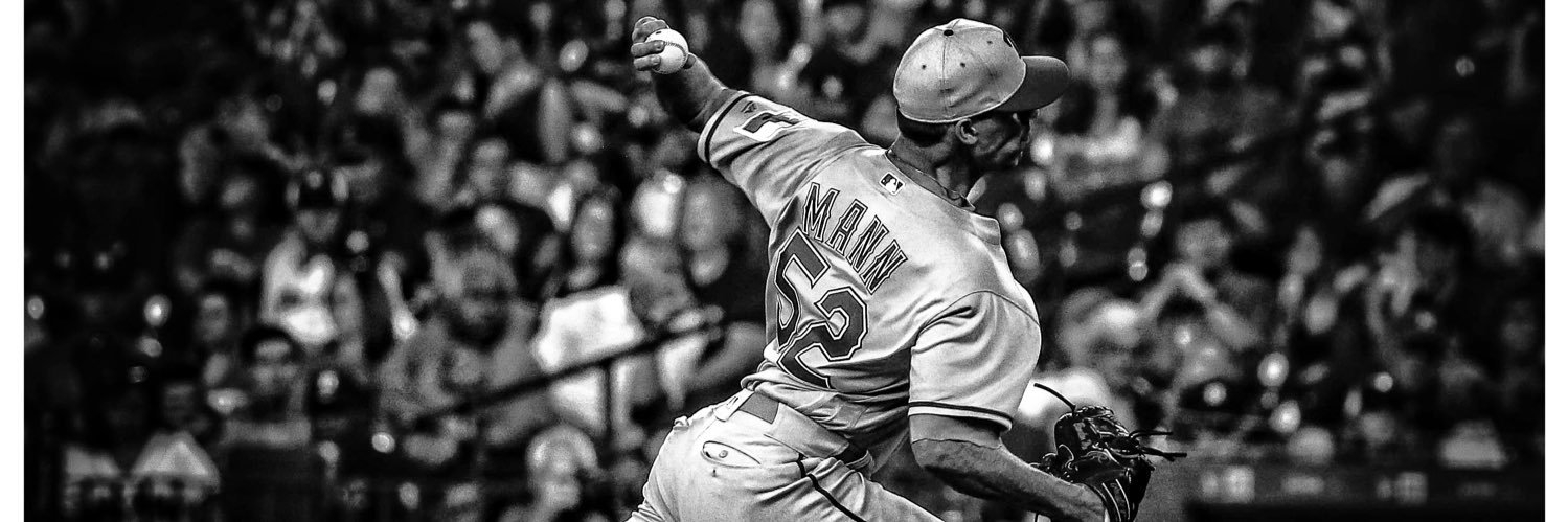 Brandon Michael Mann banner