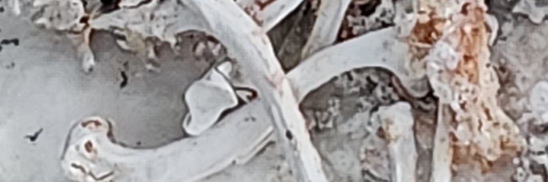 bonneyasu's profile banner image