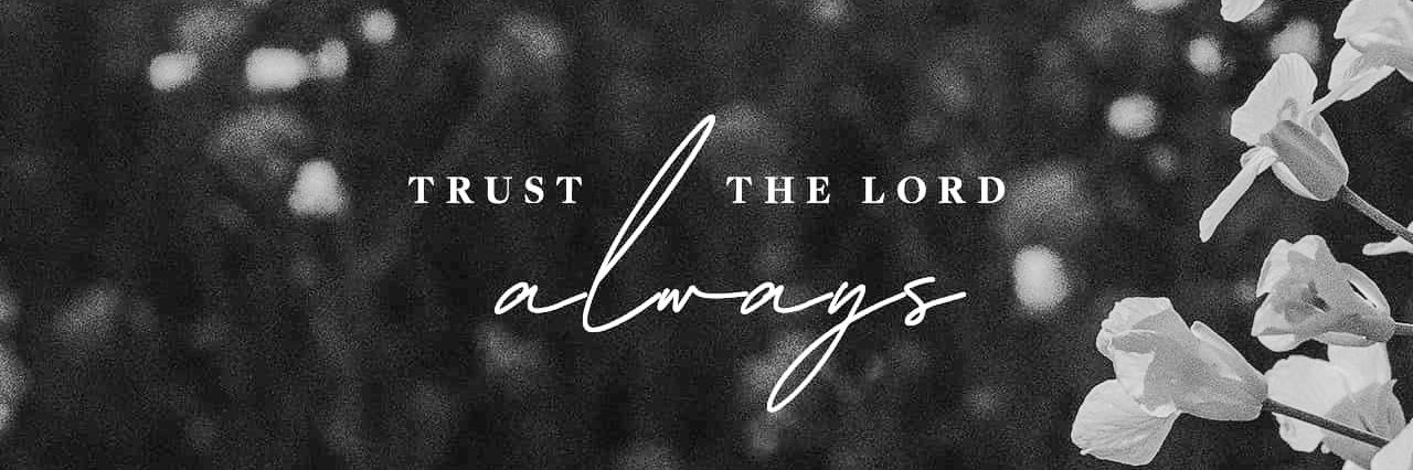 StuffnN0nsense's profile banner image
