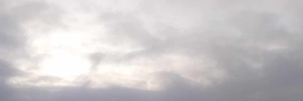 Daniel ✦ banner