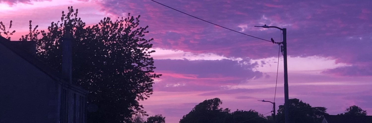 sophiemcinallyy's profile banner image