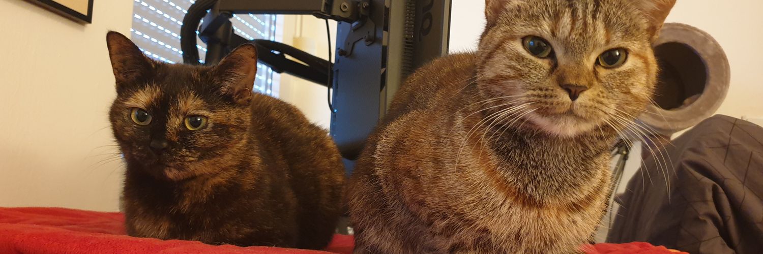 T4nsai's profile banner image