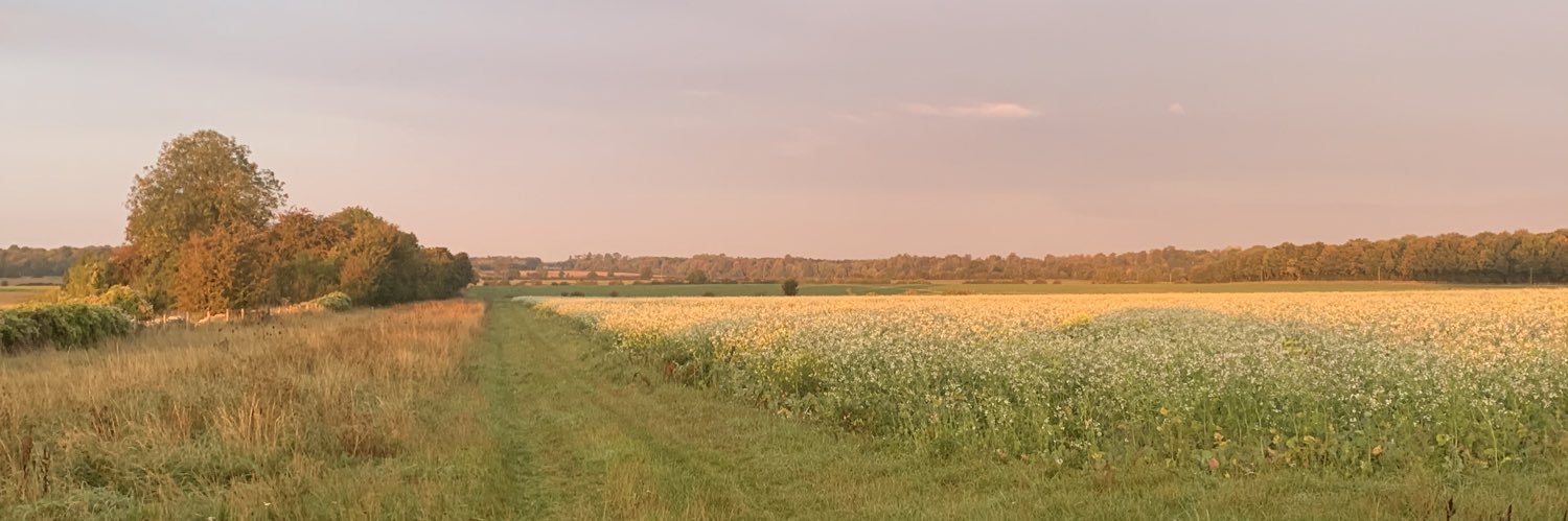 MacaroniOrganic's profile banner image