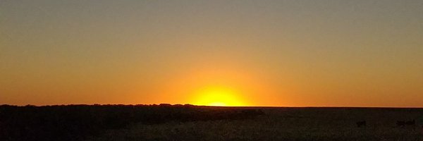 luchobarrosook Profile Banner