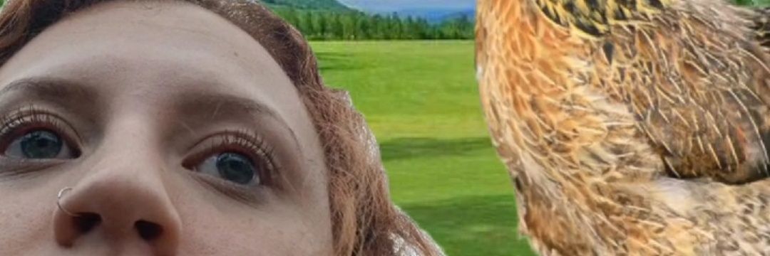 TGuuZ's profile banner image