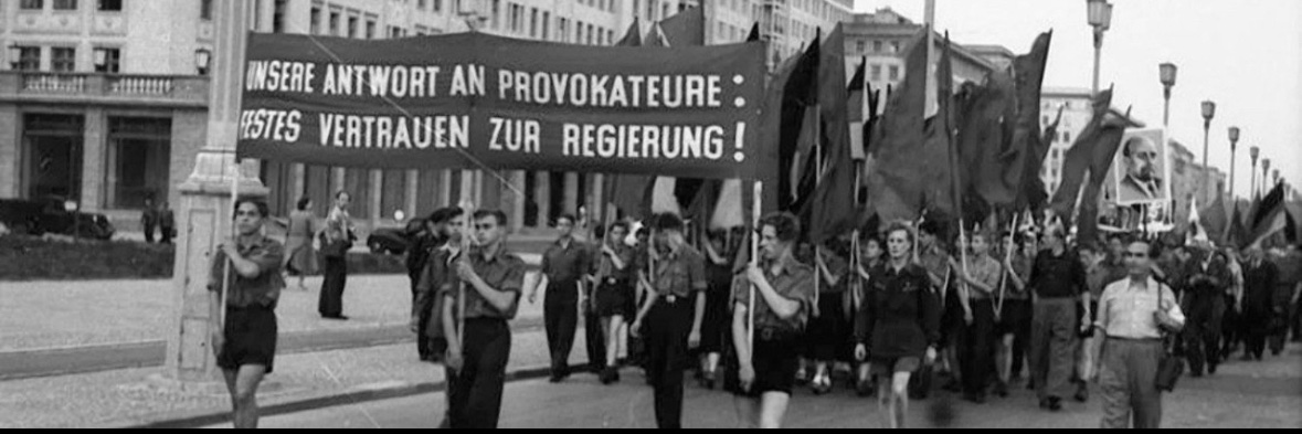 Diana Finsterle banner