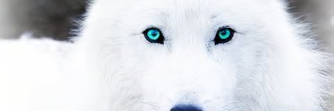 Mike McLane - 12x Founder & Humanitarian Idol banner