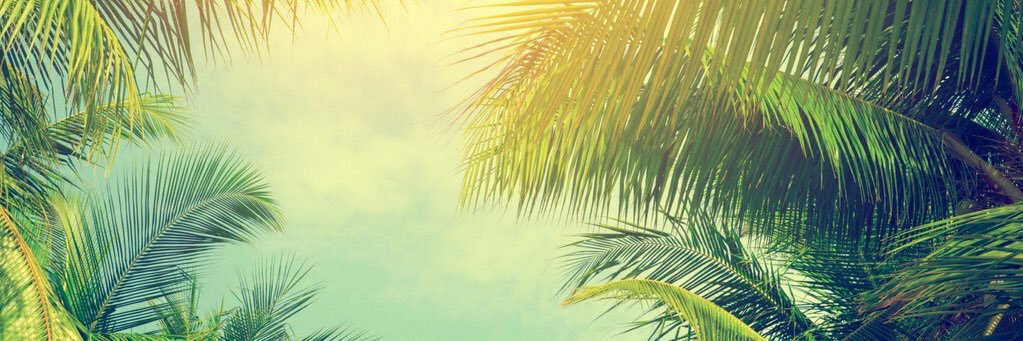 Ale_Alejandro87's profile banner image