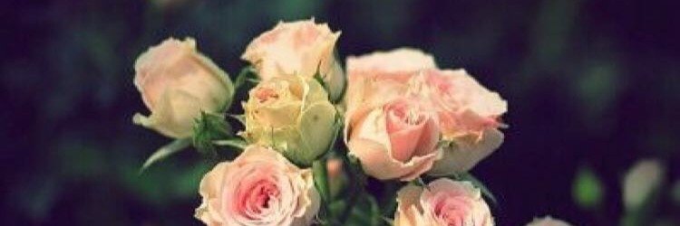 Raaed_Bahar's profile banner image