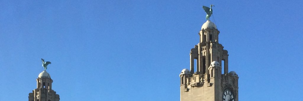 Soft Jonny English banner